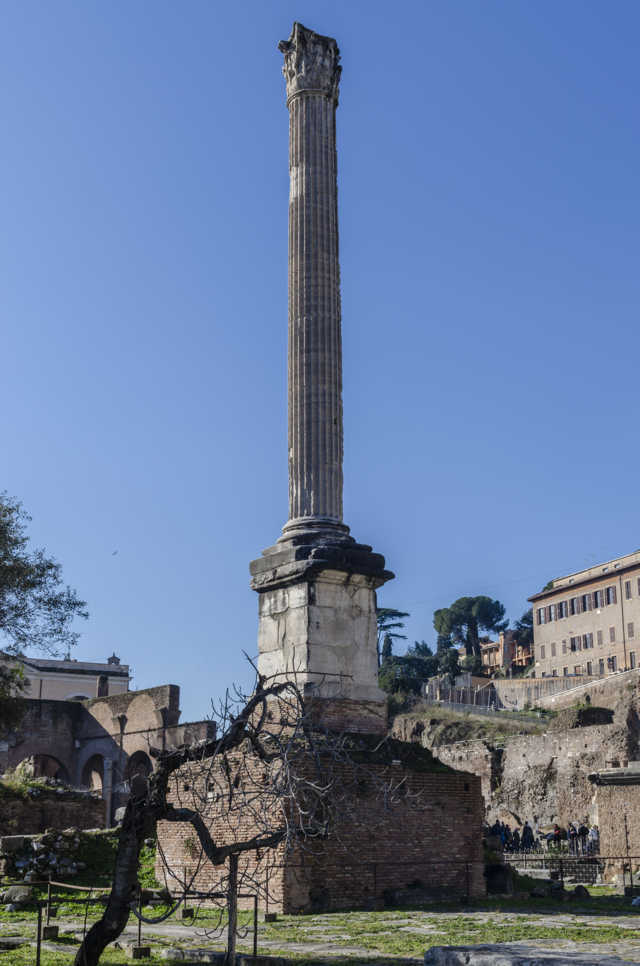 47 - Italia - Roma - Foro Romano - columna de Focas
